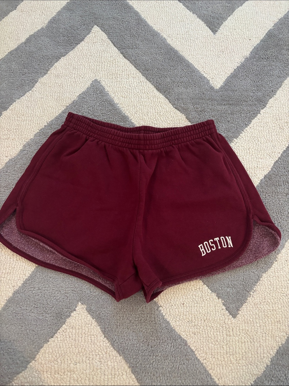 Women’s Brandy Melville Boston Sweatshorts
